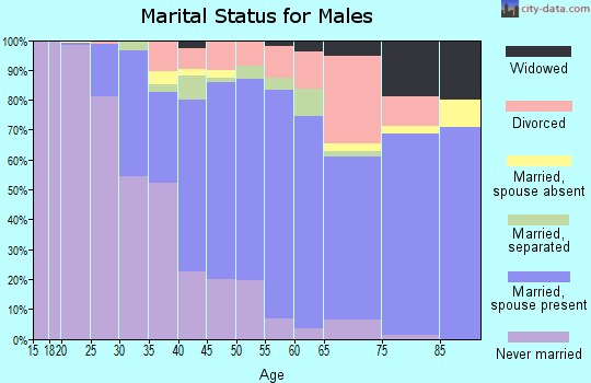 Zip code 13903 marital status for males