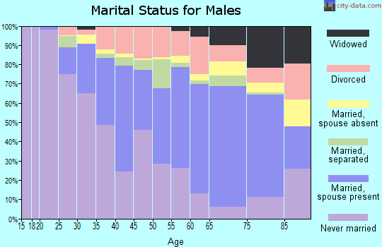 Zip code 13905 marital status for males