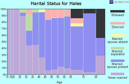 Zip code 14001 marital status for males