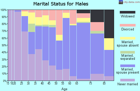 Zip code 14004 marital status for males