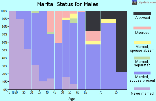 Zip code 14005 marital status for males