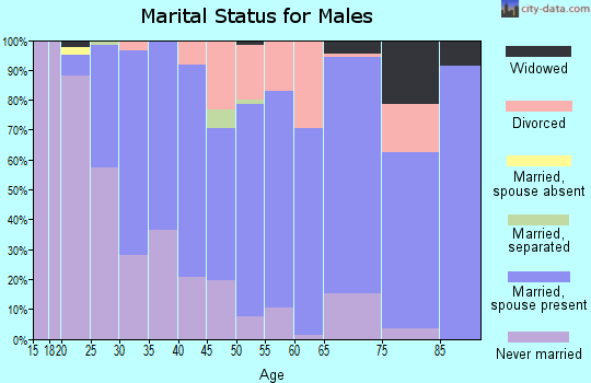 Zip code 14006 marital status for males