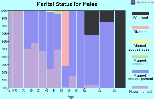 Zip code 14008 marital status for males