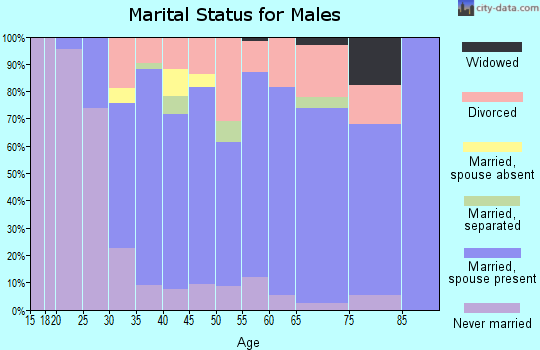 Zip code 14009 marital status for males