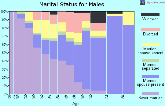 Zip code 14011 marital status for males