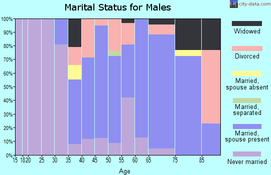 Zip code 14013 marital status for males