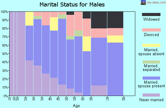 Zip code 14024 marital status for males