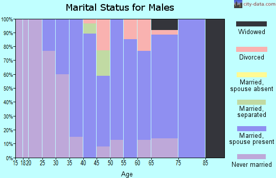 Zip code 14025 marital status for males