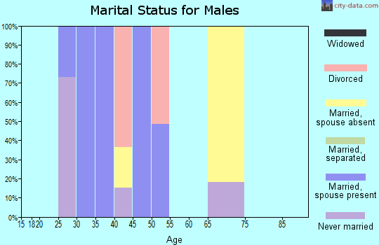 Zip code 14026 marital status for males