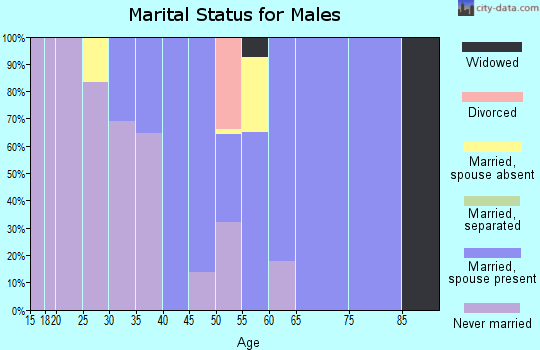 Zip code 14028 marital status for males