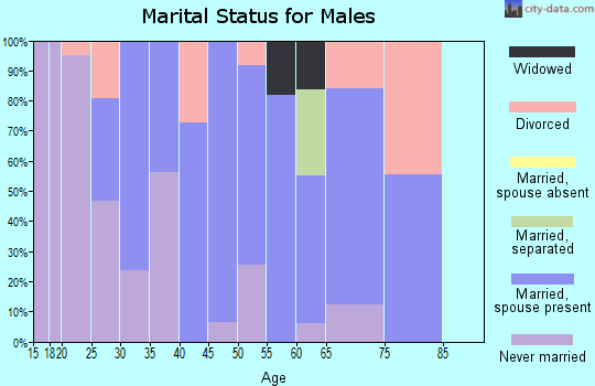 Zip code 14030 marital status for males