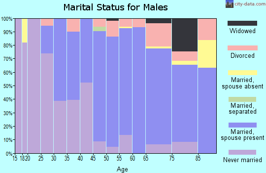 Zip code 14031 marital status for males