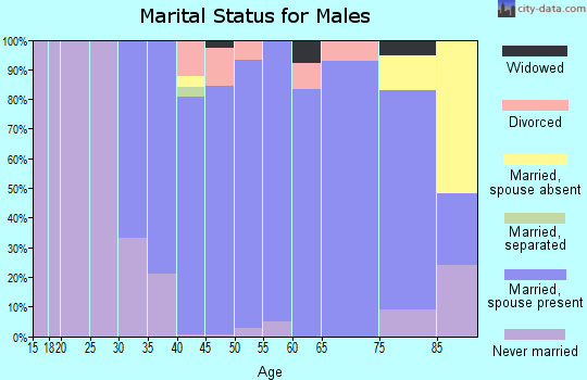 Zip code 14032 marital status for males