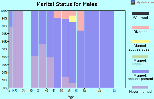 Zip code 14033 marital status for males