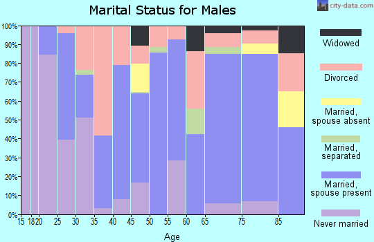 Zip code 14036 marital status for males