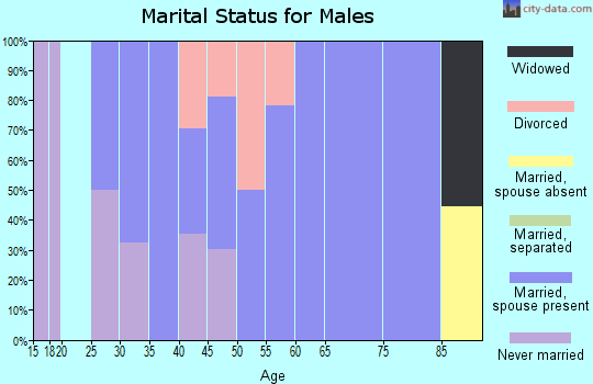 Zip code 14037 marital status for males