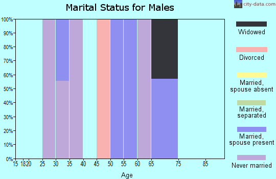 Zip code 14039 marital status for males