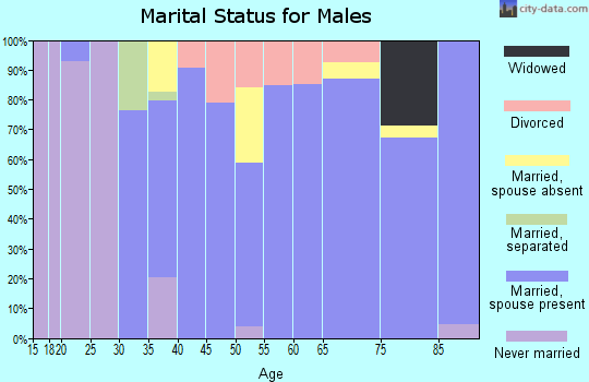 Zip code 14040 marital status for males