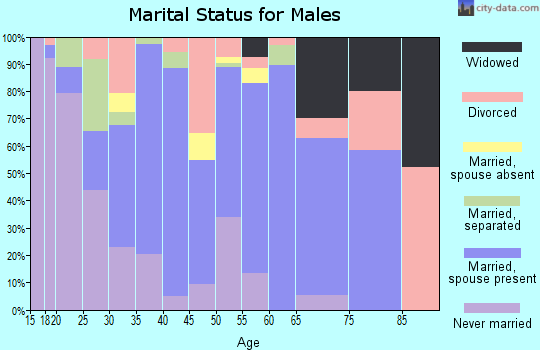 Zip code 14042 marital status for males
