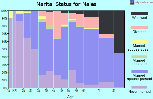Zip code 14043 marital status for males