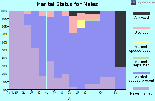Zip code 14047 marital status for males