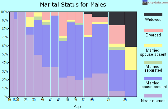 Zip code 14048 marital status for males