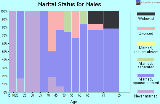 Zip code 14060 marital status for males