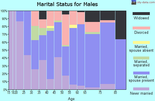 Zip code 14062 marital status for males