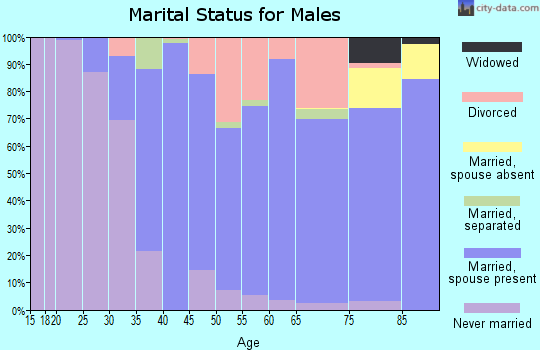 Zip code 14063 marital status for males