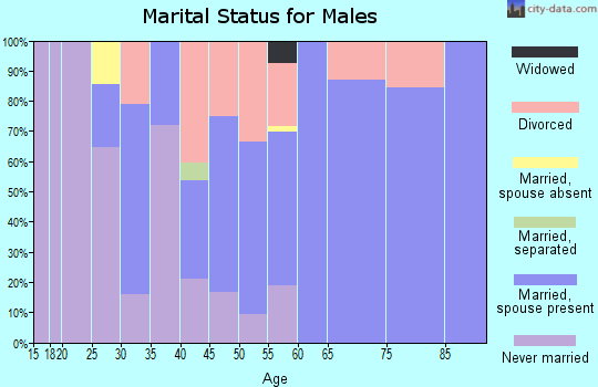 Zip code 14066 marital status for males