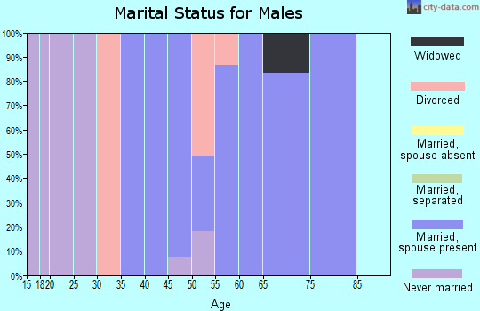 Zip code 14069 marital status for males