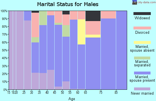 Zip code 14080 marital status for males