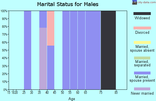 Zip code 14082 marital status for males