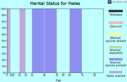 Zip code 14083 marital status for males