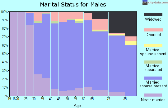 Zip code 14086 marital status for males