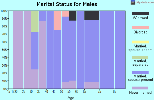Zip code 14091 marital status for males