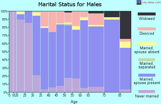 Zip code 14092 marital status for males