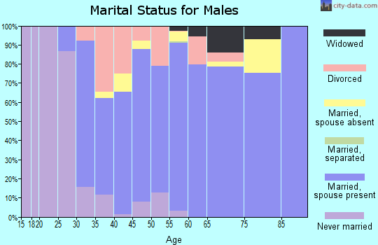 Zip code 14098 marital status for males