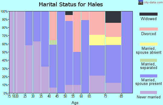 Zip code 14101 marital status for males