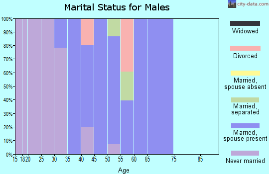 Zip code 14102 marital status for males