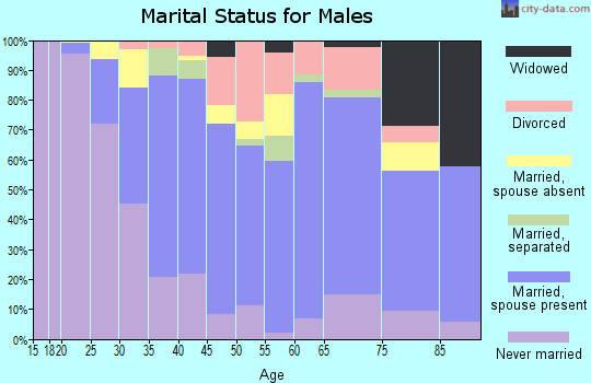 Zip code 14103 marital status for males