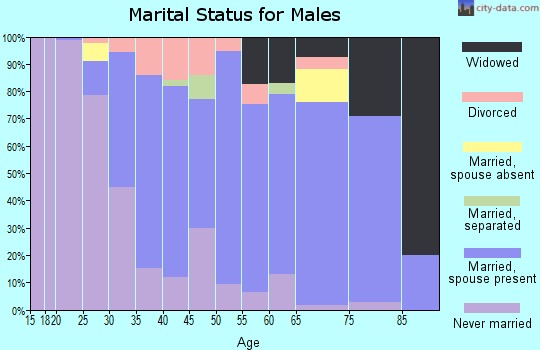 Zip code 14105 marital status for males
