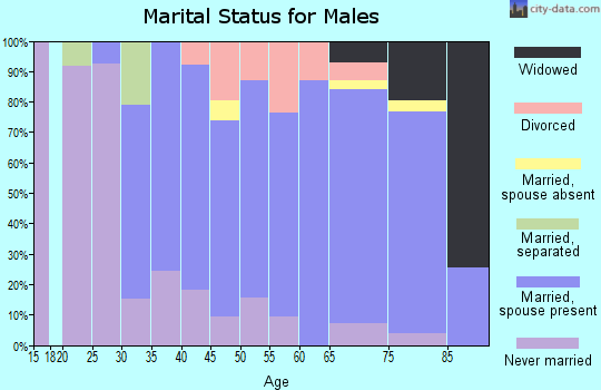 Zip code 14108 marital status for males