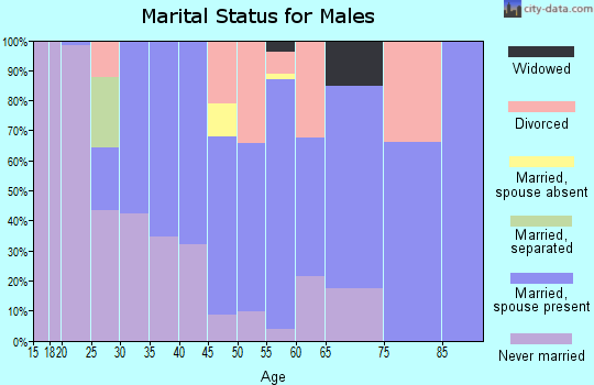 Zip code 14111 marital status for males