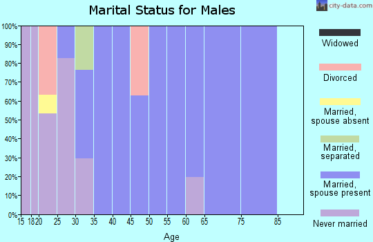 Zip code 14113 marital status for males