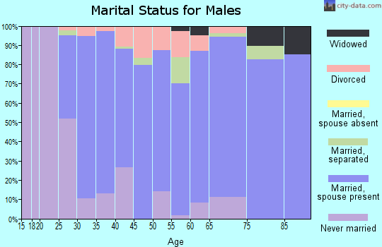 Zip code 14125 marital status for males