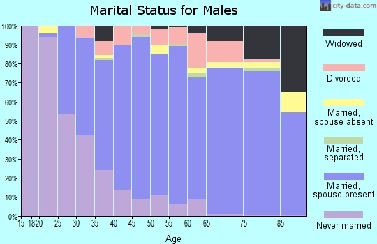 Zip code 14127 marital status for males