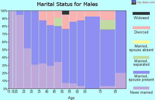 Zip code 14129 marital status for males