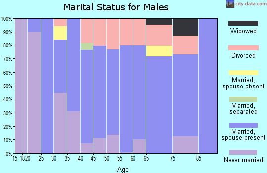 Zip code 14131 marital status for males