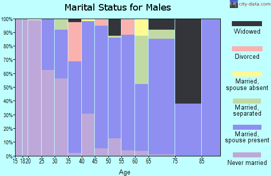Zip code 14132 marital status for males